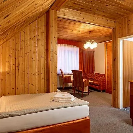 Otel Schwarz Karlovy Vary